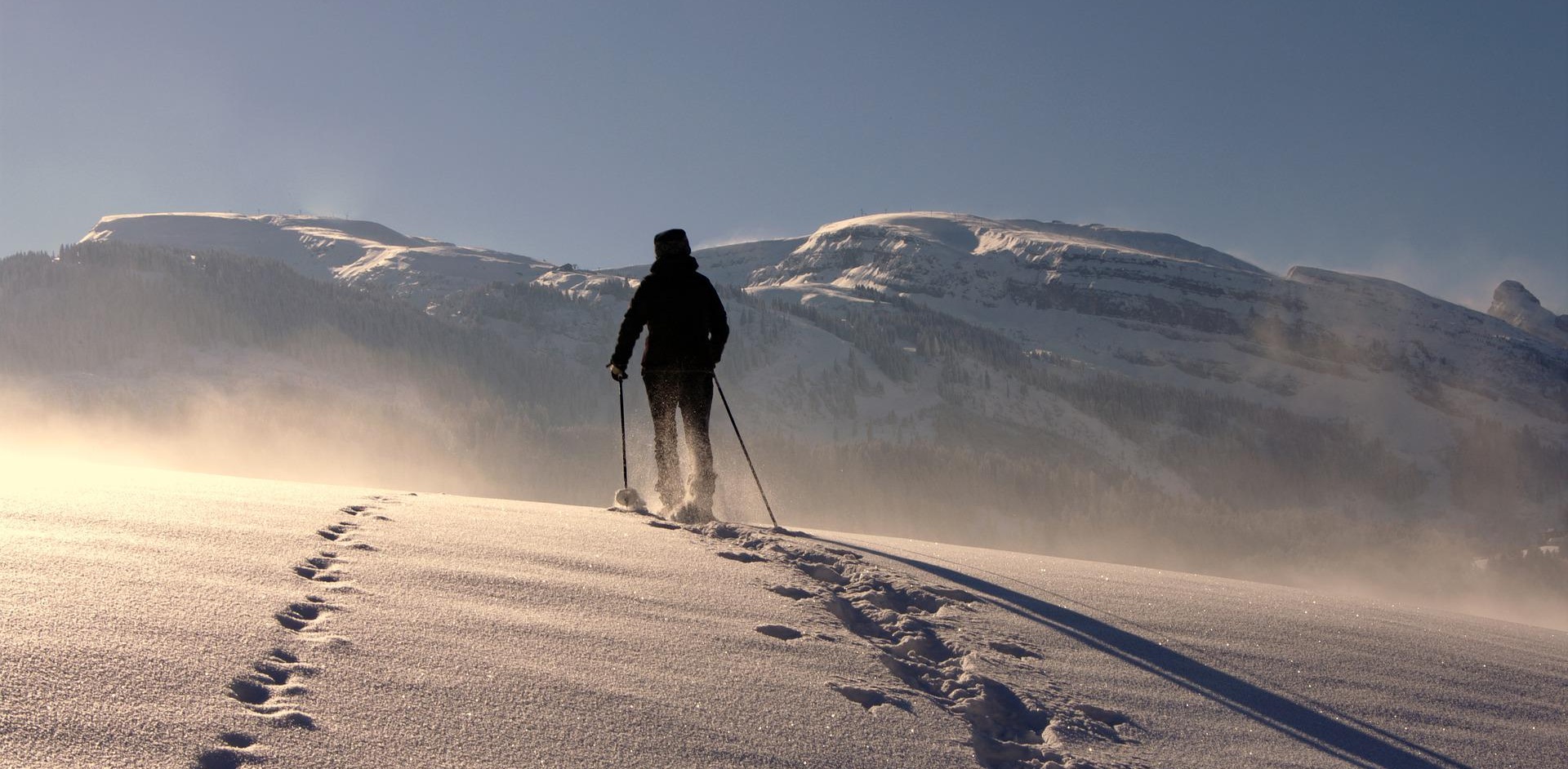 使命愿景价值观